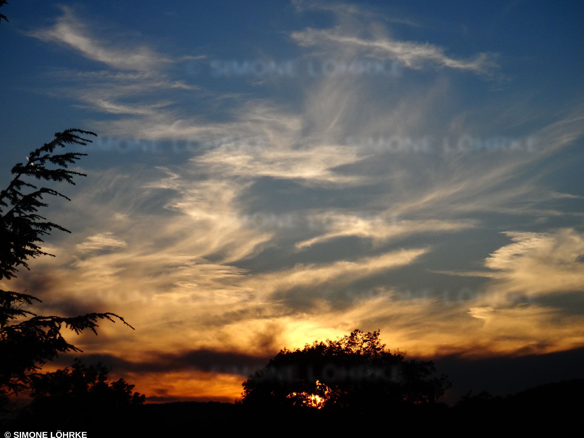 DSC09930