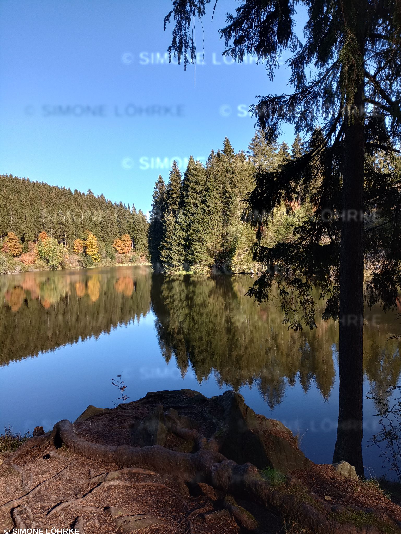 IMG 20221008 150208756 HDR