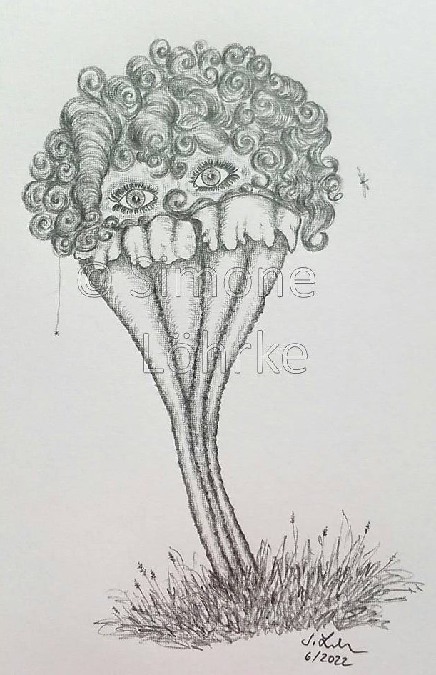 Hemitrichia calyculata Betty 1