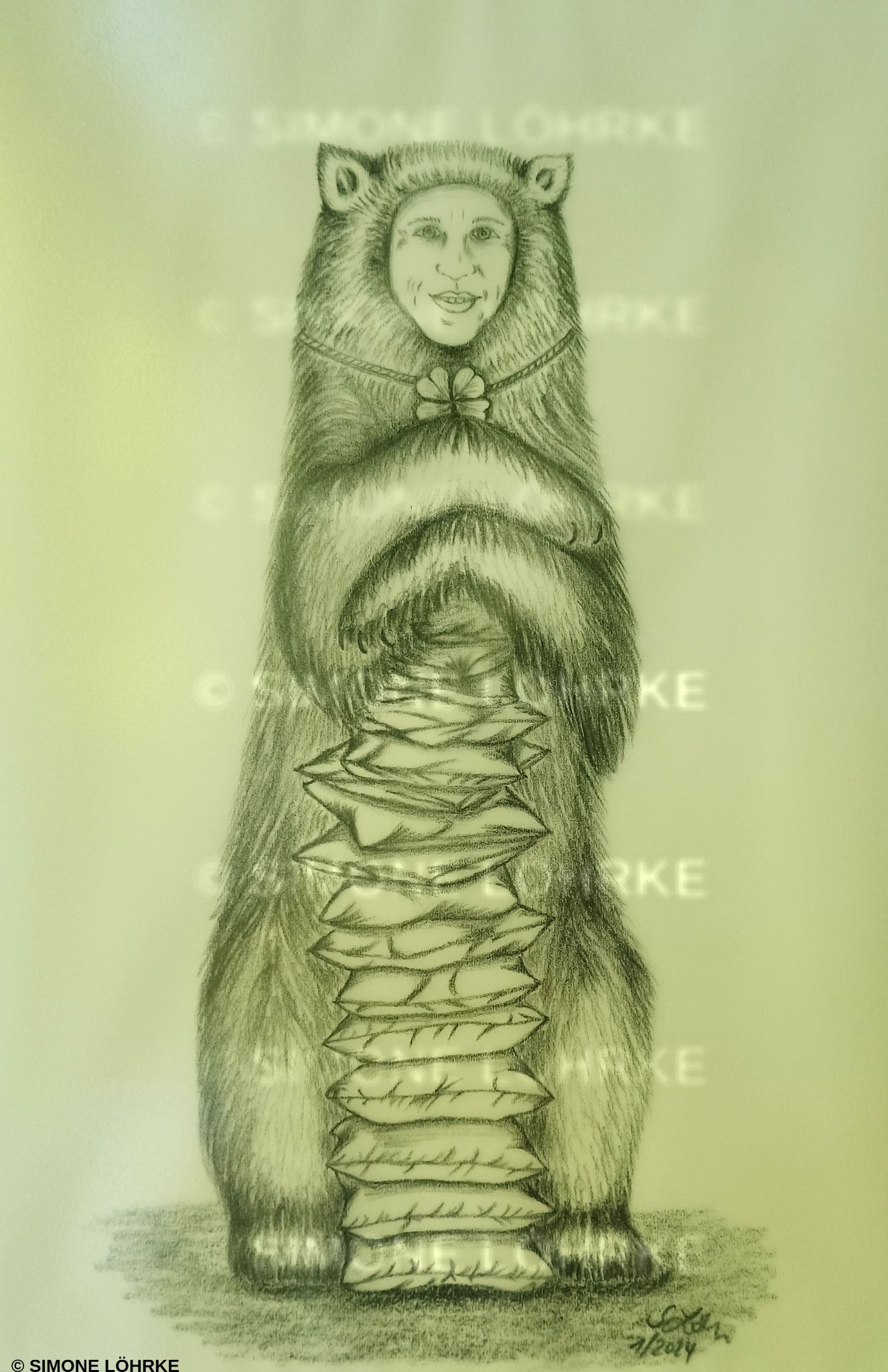 Der Kissenbär